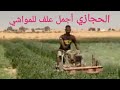 التبن الحجازي الحر عشان محدش يضحك عليك ولا يغشك سعرو وطريقة تصنيعو