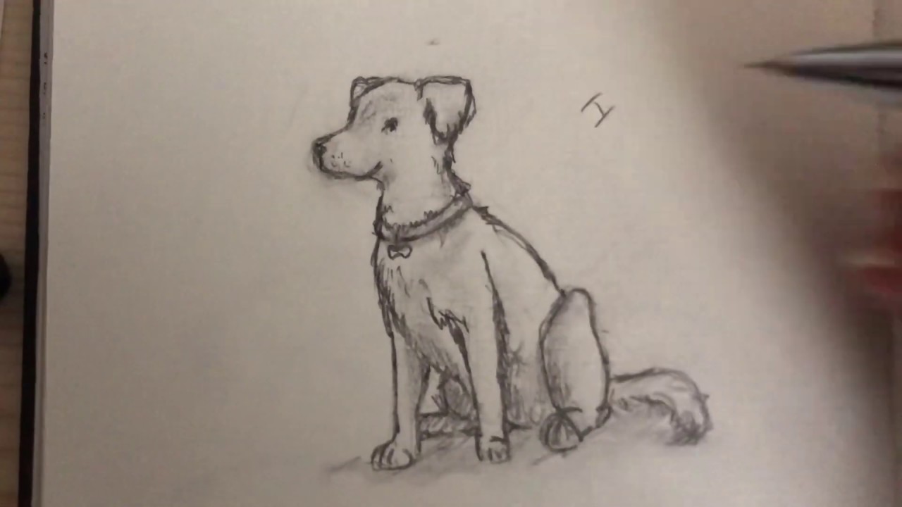 Tutorial Hund zeichnen Variante 1 sitzender Hund YouTube Tutorial Hund zeichnen Variante 1 sitzender Hund YouTube
