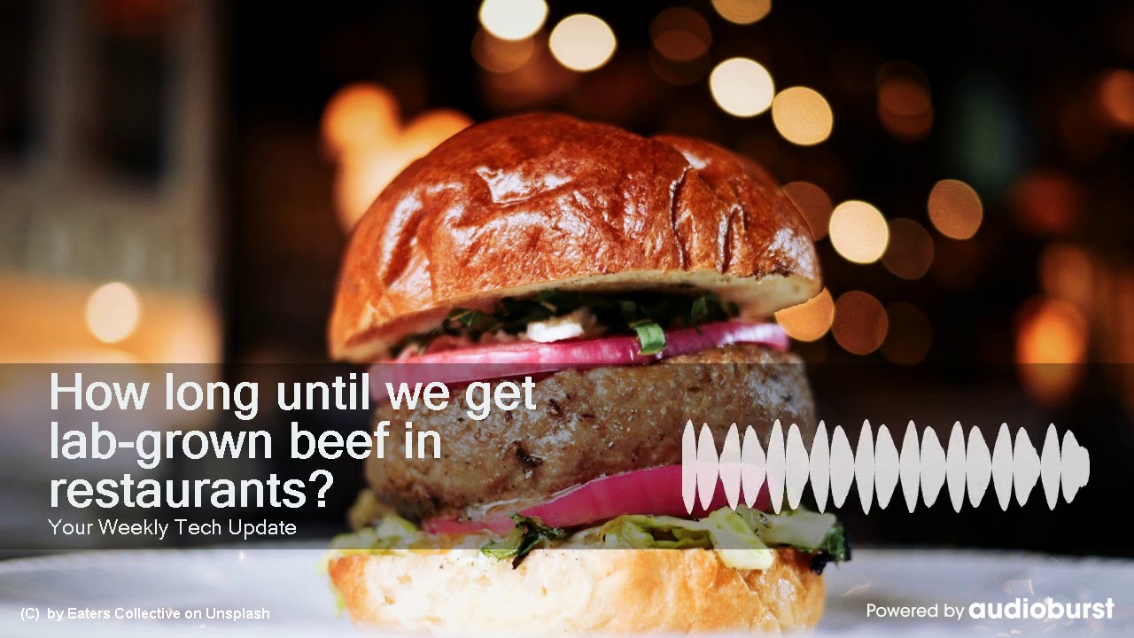 How long until we get lab-grown beef in restaurants? - YouTube