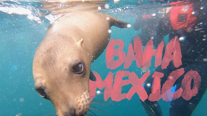Where to Visit in Baja Mexico - Todos Santos, LaPa...