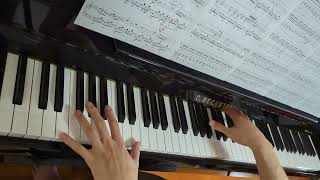 Chopin 24 Preludes, Op.28-15 (Raindrop) Day57