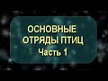 Основные отряды птиц. Часть 1. Биология