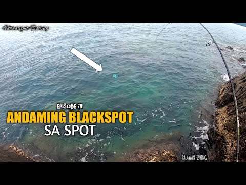 Video: Ano Ang Kagat Ng Isda