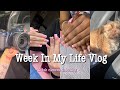 WIML Vlog | Beach day| New puppy| New clients| New camera + unboxing