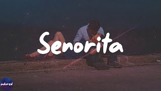 Shawn Mendes - Señorita (Lyrics)