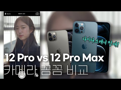 아이폰12 Pro <strong>vs</strong> 아이폰12 Pro <strong>Max</strong> 일 주일동안 비교해서 찍어봤어요. (야간모드, 돌비비전HDR, 인물사진 강화)
