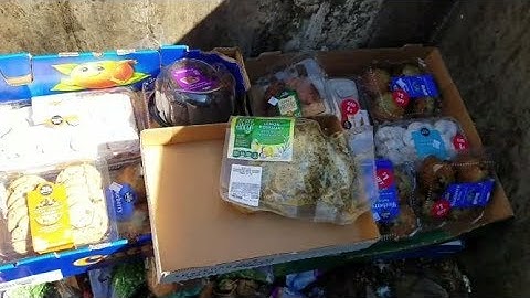 DUMPSTER DIVING ALDI DAILY VIDEO #64