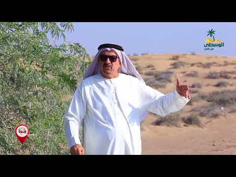 بقعة الصجعة