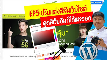 EP5 ปรับแต่งสีสันเว็บไซต์ Wordpress ดูดสีเว็บอื่น