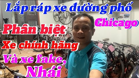 Dong xe nào sport cruiser chạy đường trường tốt nhất năm 2024