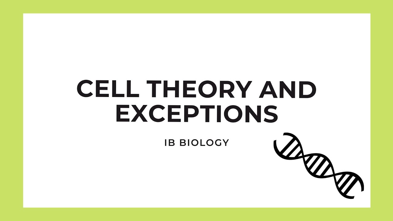 IB Biology Cell Theory & Exceptions YouTube