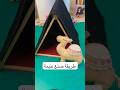 طريقة صنع خيمة tent art arabic ideas school diy crafts 
