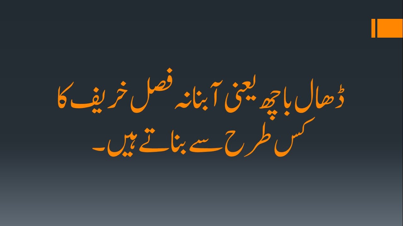 How to Prepare Dhal Bhach(ڈھال باچھ کیسے بناتے ہیں