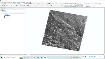 DN Value Change in ArcGis #arcgis #arcgistutorial