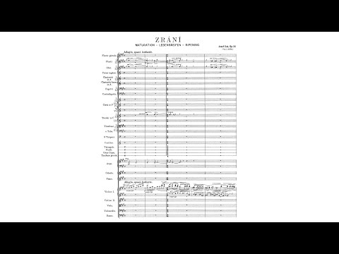 Josef Suk Zrání Ripening 