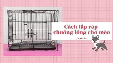 Hướng dẫn cách lắp lồng chuồng chó mèo sơn tĩnh điện | Vẩu Pet