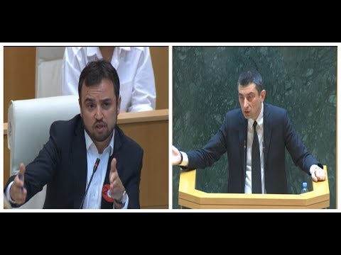 თქვენ გაეცით ბრძანება? დამშვიდდით, ბატონო გიორგი მშვიდათ უპასუხეთ კითხვებს - კახიძე გახარიას