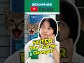 FILTER Function - The “Game-Changer” | Excel Hustle