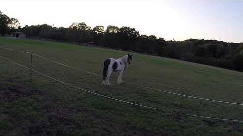 Intel Aero with 2 axis gimbal