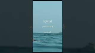 Surah Ash‑Shūrā (الشورى) | verses 27 -28 | Quran tilawat