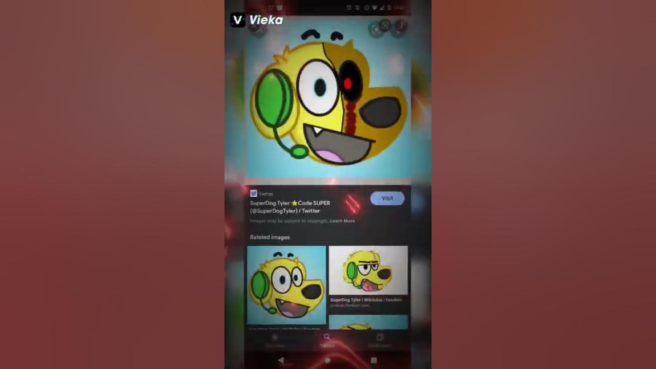 Super dog Tyler Fan Edit