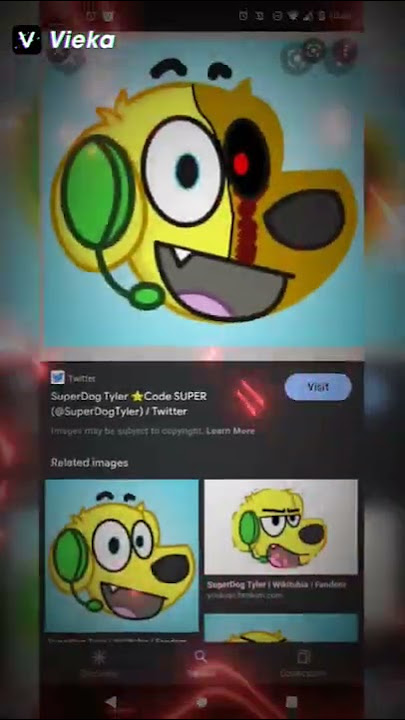 Super dog Tyler Fan Edit