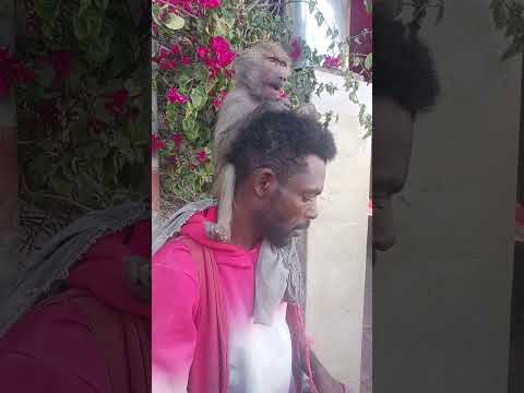 July 1 2025 Jaldeessa Biyya Ala