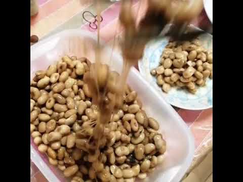 😲手作り納豆の試食ですよ😆