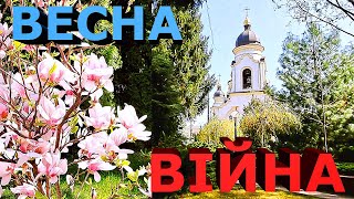 Весняна війна 2024