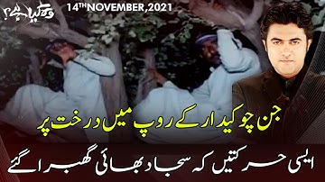 Woh Kya Hai With Sajjad Saleem | 14 November 2021 | Express News | IF1I