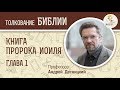 Книга пророка Иоиля. Глава 1. Андрей Десницкий. Ветхий Завет