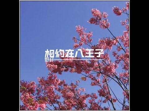 野仔wildchild 相約在八王子demo From 05 Youtube