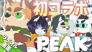 PEAKコラボ!