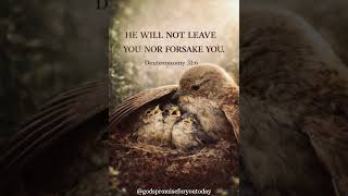 #promiseverse #christiansong #2026 #bibleverse #god #promise #verse #grace #faith #love #almighty
