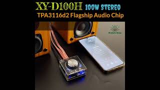 XY-D100H App Control TPA3116D2 Bluetooth Receiver Amplifier #foryouシ #zk502mt