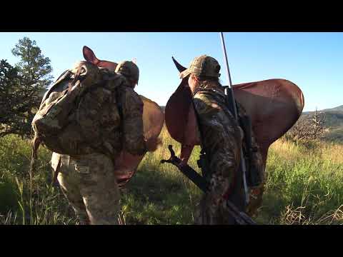 Tips for Hunting Elk with Decoys