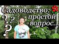 Рубрика &quot;наивных вопросов&quot;. Для начинающих садоводов!