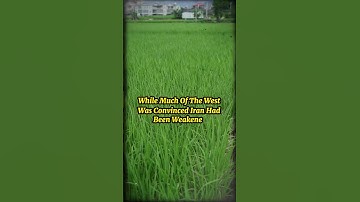 De geheime allianties van Iran – wat er nu gebeurt zal de wereld shockeren | Denzel Washington