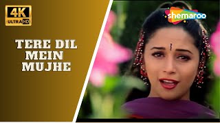 Tere Dil Mein Mujhe - 4K Video | Sanjay Kapoor, Madhuri Dixit | Udit Narayan | 90's Romantic Songs