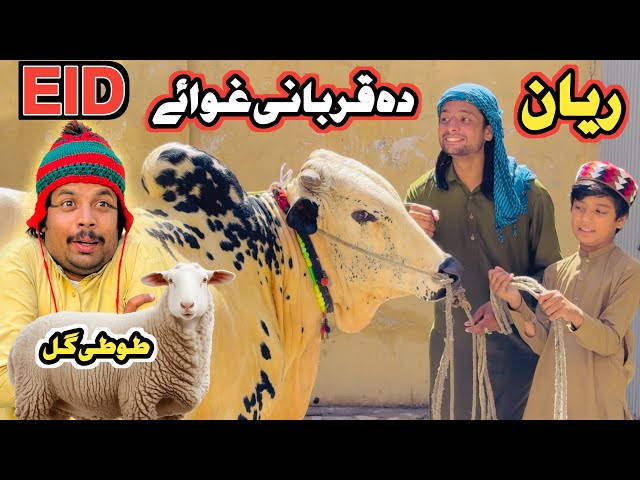 EID BAKRA TUTI GULL AO REYAN New Funny Video 2026 by MH Villeage Vlog