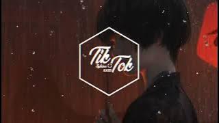 莫叫姐姐 (BT Remix) - 下辈子不一定还能遇见你 (DJ抖音版) Kiếp Sau Không Chắc Gặp Được Anh || TikTok 抖音精选热播BGM