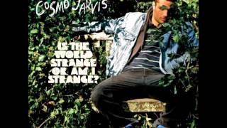 Video thumbnail of "Cosmo Jarvis - Is The World Strange or Am I Strange?"