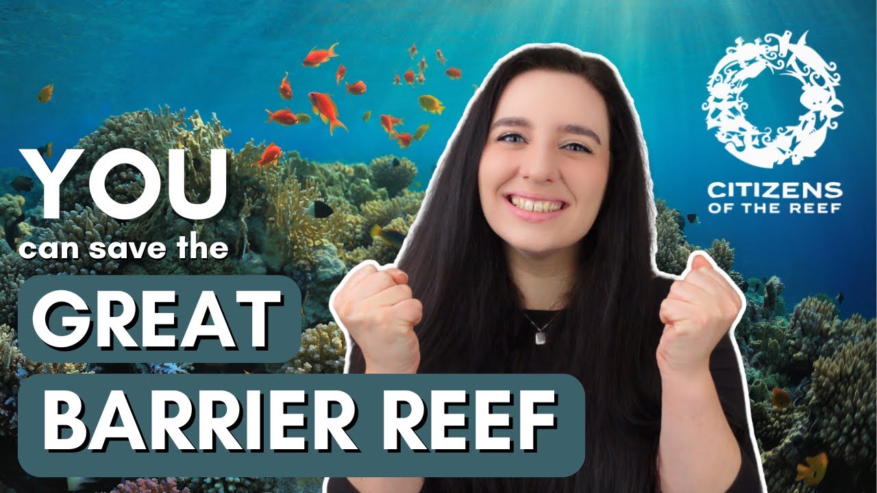 Become a citizen scientist FROM HOME & save the Great Barrier Reef ...