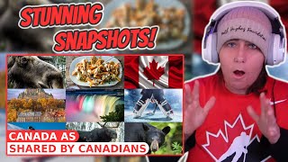 Canada Shared by Canadians | Australian Reacts | AussieTash