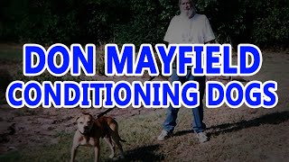 Don Mayfield Conditioning Dogs | Pit bull Legend