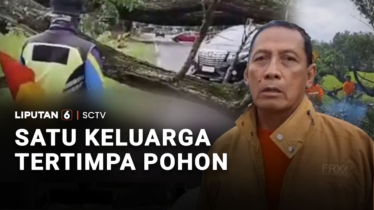Satu Keluarga Tertimpa Pohon | Liputan 6
