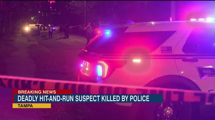 Deadly hit-and-run suspect killed by police, chief says