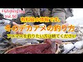 フライフィッシング北海道 アメマスの釣り方を独り言のように呟きながら持論を展開したりする動画