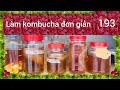 #193. Cách lên men kombucha đơn giản