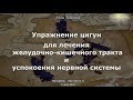 Упражнение цигун для лечения желудочно-кишечного тракта и успокоения нервной системы